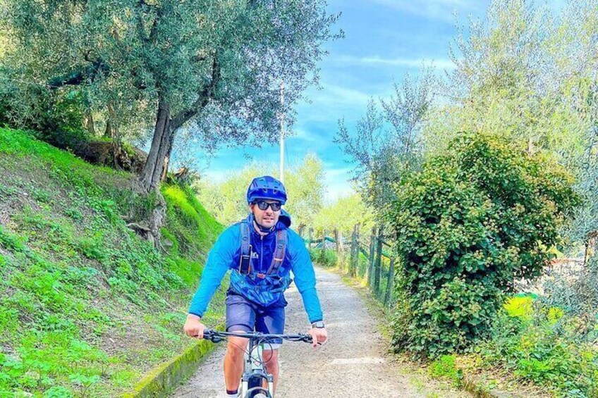 Oil and Lemon - Sorrento e-Bike Tour Experience