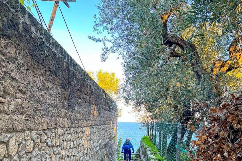 Oil and Lemon - Sorrento e-Bike Tour Experience 3