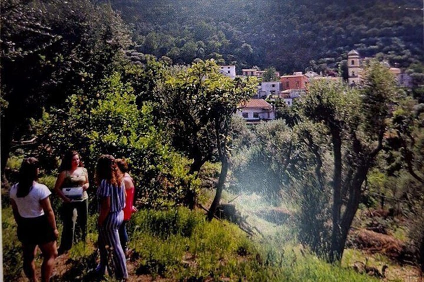 Un grupo de personas en una colina, con vistas a un pueblo de edificios con tejados rojos. 2