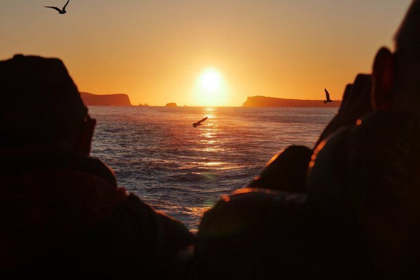 A sunset over the ocean with silhouettes of people and birds. 3