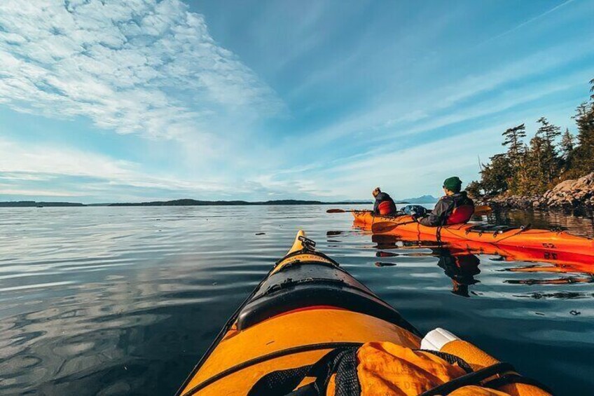Full Day Kayaking Adventure in Vancouver Island  2