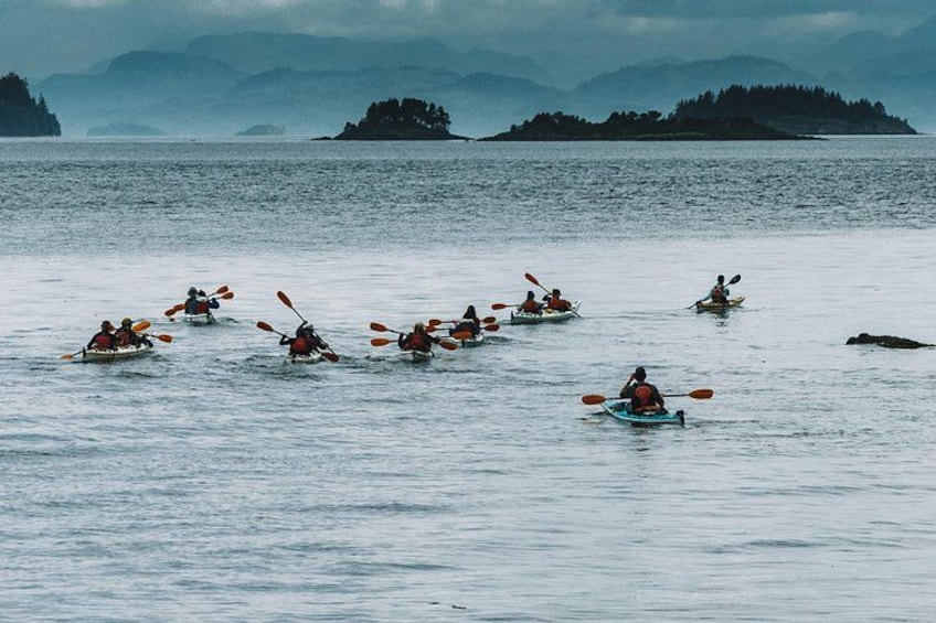 A group of kayakers on a calm body of water with distant islands and mountains in the background. 2