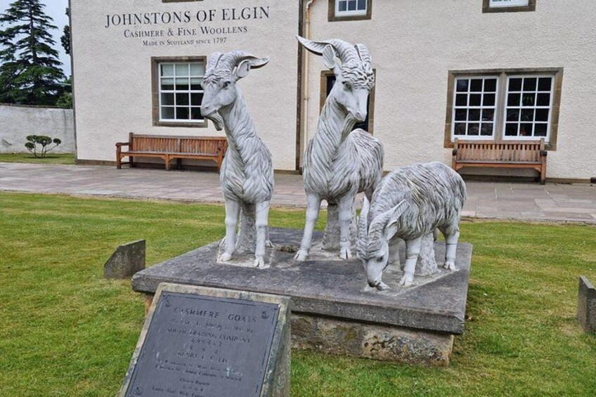 Johnstons of Elgin 4