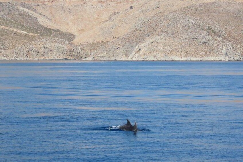 The Santa Maria 3 Island Cruise in the Aegean w/ Free Audio Guide 4