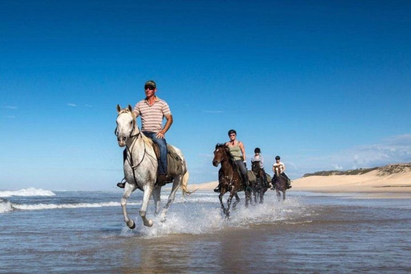 Agadir & Taghazout Beach Horseback Riding (Morning or Sunset) 4