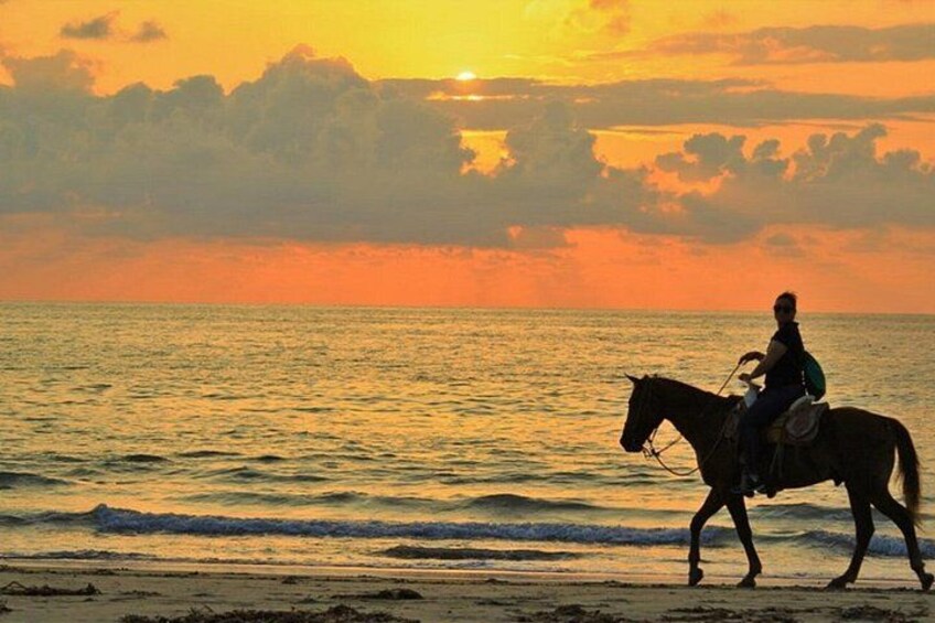 En person som rider på en häst på en strand under solnedgången. 2
