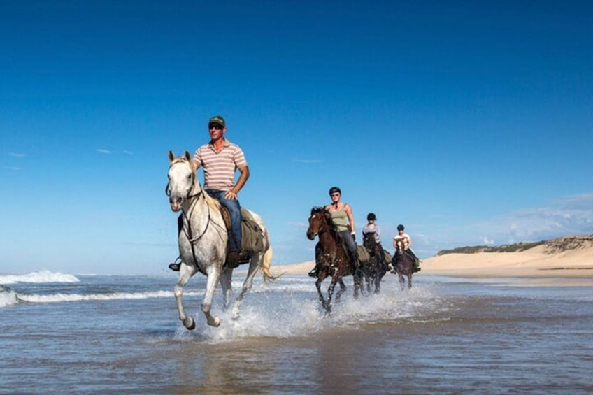 People riding horses on a beach with waves. 4