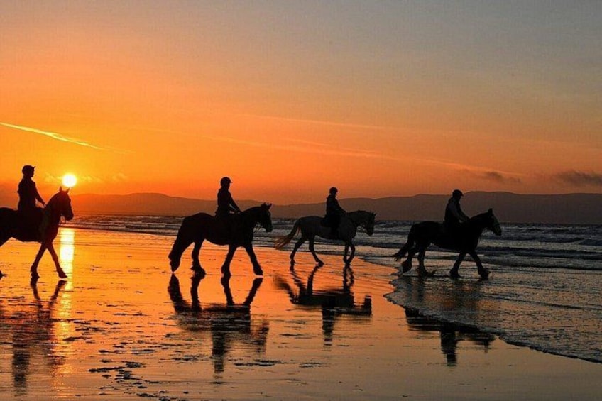 Agadir & Taghazout Beach Horseback Riding (Morning or Sunset) 3
