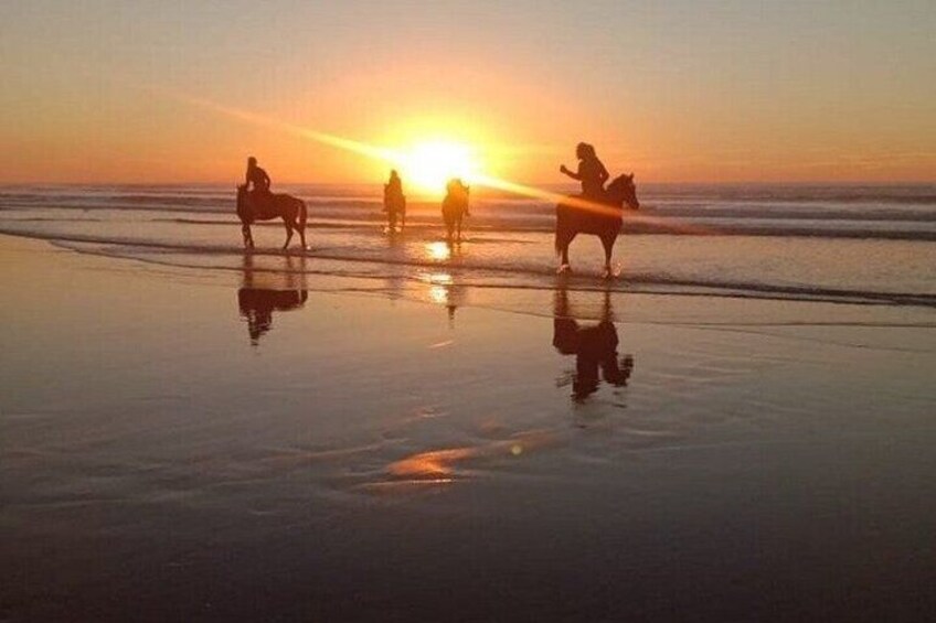 Agadir & Taghazout Beach Horseback Riding (Morning or Sunset) 3