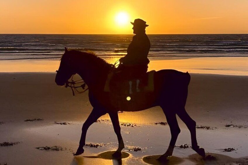 Agadir & Taghazout Beach Horseback Riding (Morning or Sunset) 5