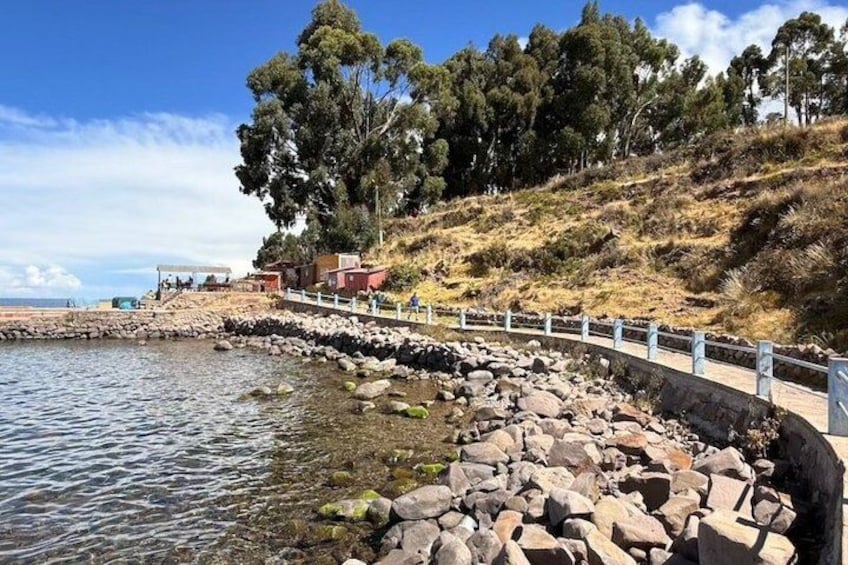 A rocky shoreline with a white fence, a clear sky, and trees in the background. 5