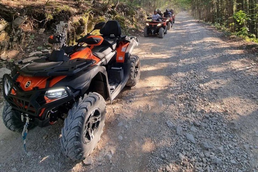 A quad bike parked on a gravel path with a forest in the background. 1