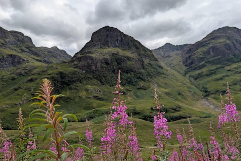 A mountainous landscape with green hills and purple flowers in the foreground. 4