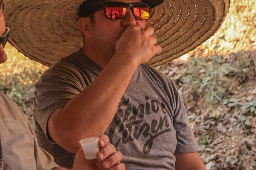Private ATV tour with waterfall and Tequila tasting 5