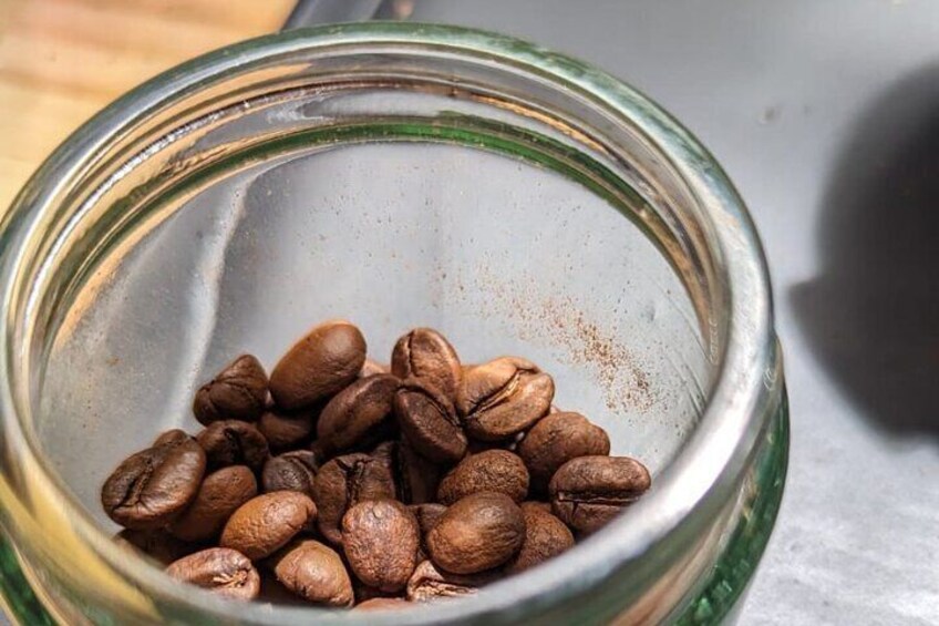 Specialty Coffee Cupping in Heredia