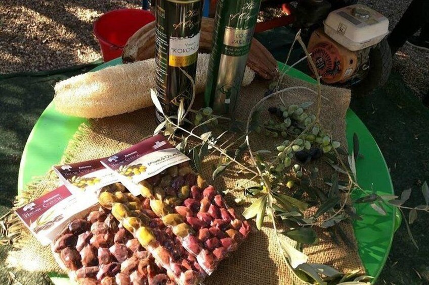 A green plate with olives, grapes, and a bottle of wine. 5