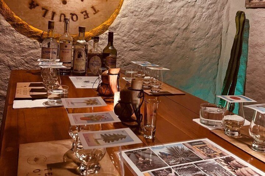 Tequila Tasting Experience 4