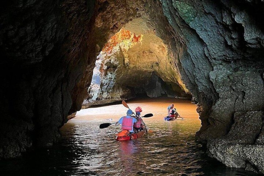 Kayak Tours with Amazing Caves, sea life and Marine Biologist . 3