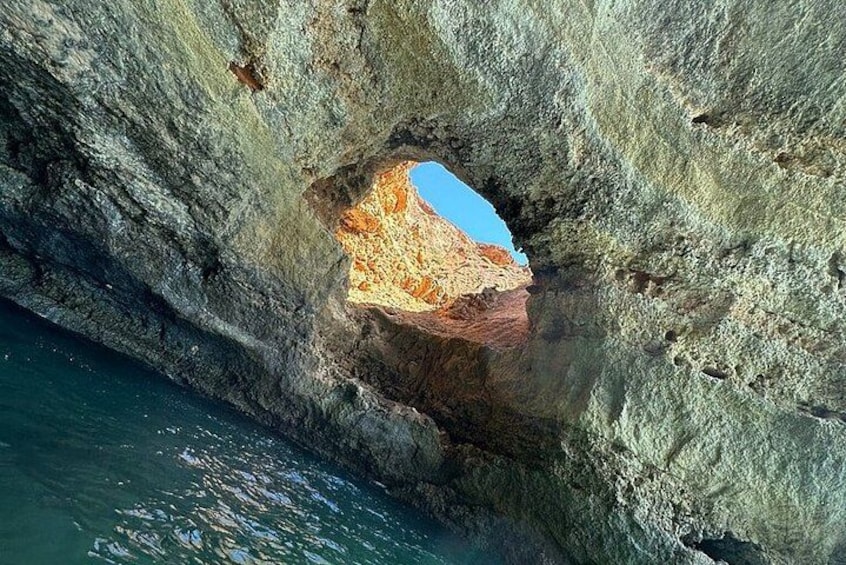 Kayak Tours with Amazing Caves, sea life and Marine Biologist . 2
