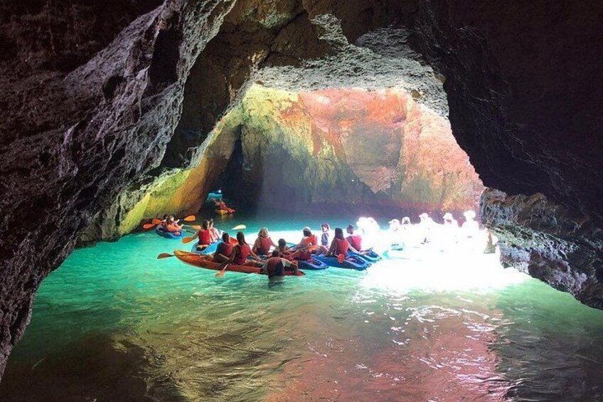 Kayak Tours with Amazing Caves, sea life and Marine Biologist . 1