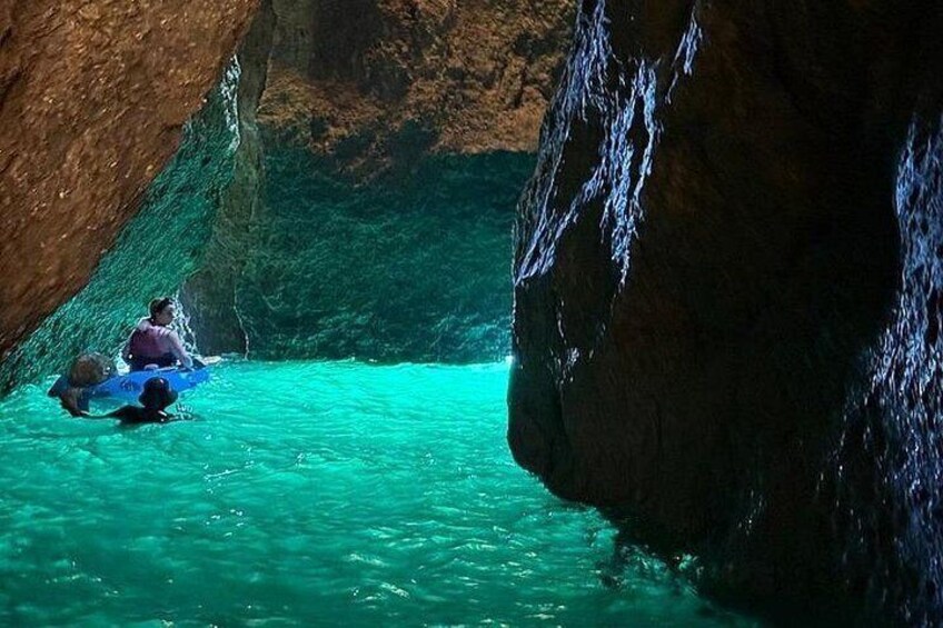Kayak Tours with Amazing Caves, sea life and Marine Biologist . 2