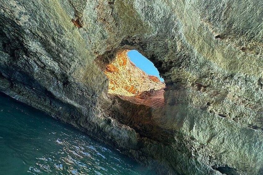 Kayak Tours with Amazing Caves, sea life and Marine Biologist . 2