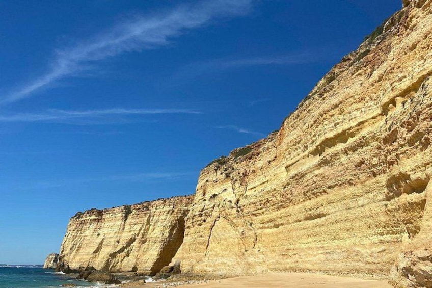Kayak Tours with Amazing Caves, sea life and Marine Biologist . 4