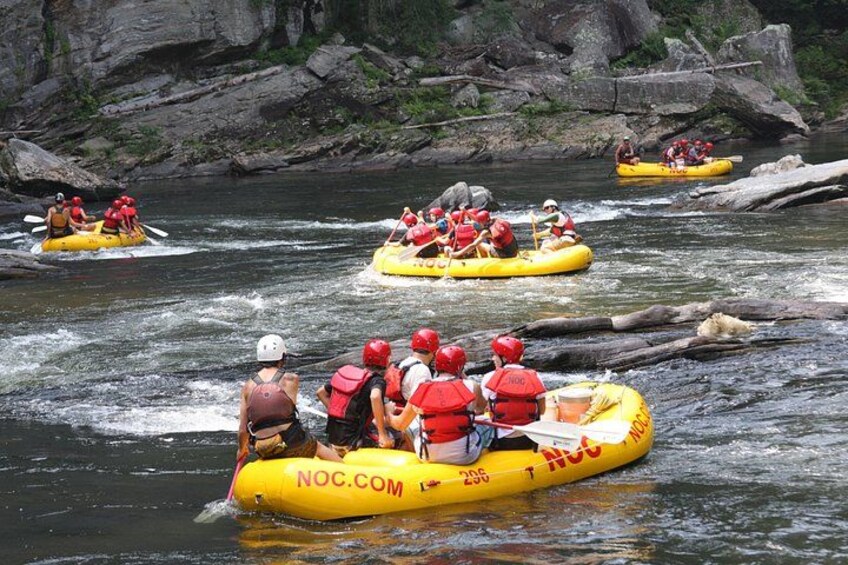 Chattooga River Rafting - Mild: Section 3 1