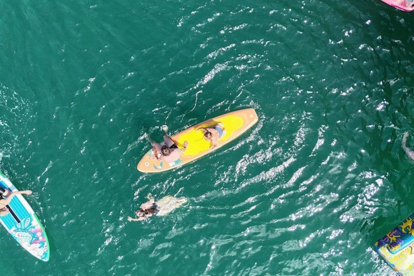Una persona sobre una tabla de surf amarilla en el agua, rodeada de otras tablas de surf. 4