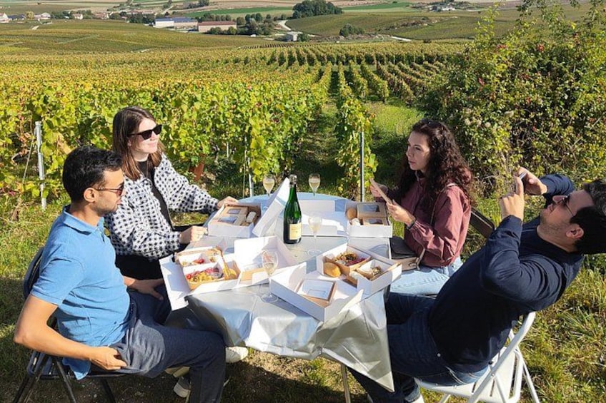 Eine Gruppe von Menschen speist im Freien an einem Tisch in einem Weinberg. 2