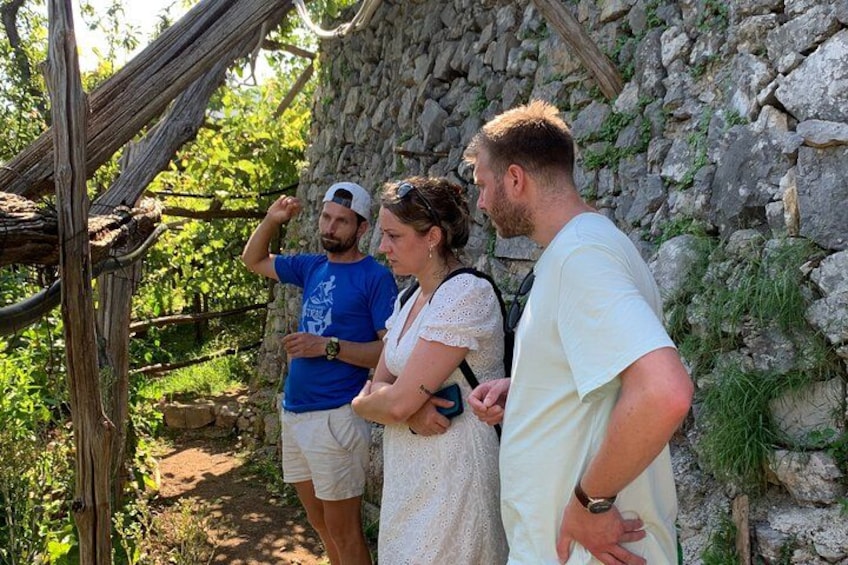 Amalfi Coast - Maiori: Path of Lemons Tour with Tasting 2