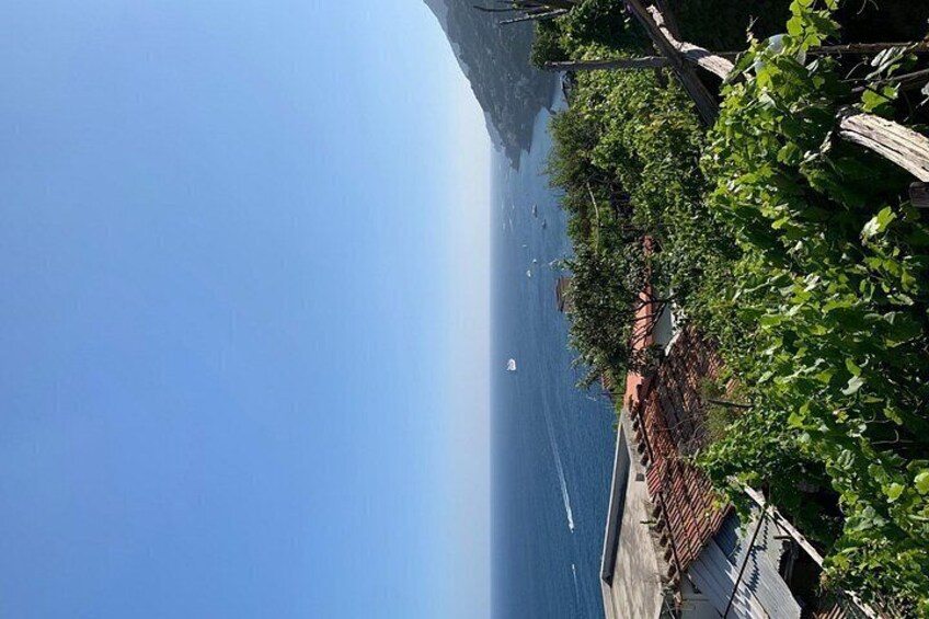Amalfi Coast - Maiori: Path of Lemons Tour with Tasting 4