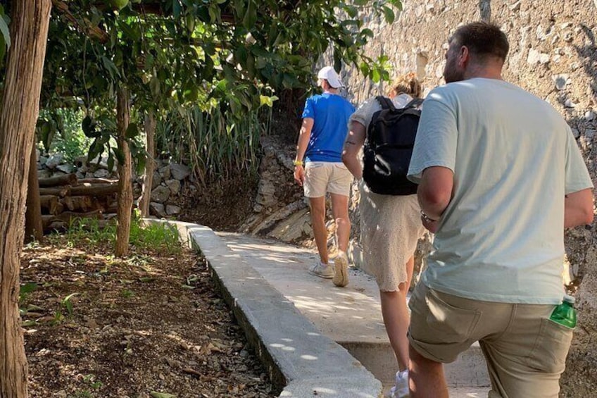 Amalfi Coast - Maiori: Path of Lemons Tour with Tasting 4