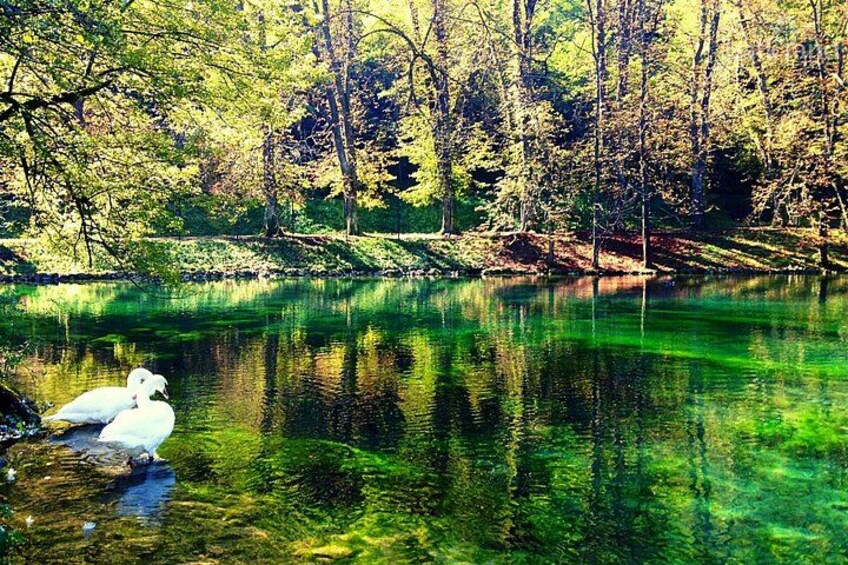 The spring of the Bosna River, Vrelo Bosne, Sarajevo, Bosnia and Herzegovina 1