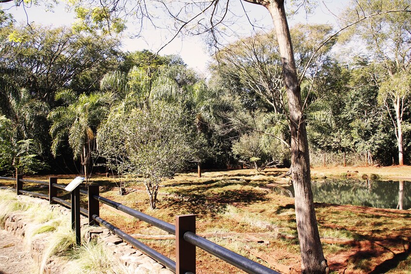 Itaipu Dam with Wild Animals Eco Retreat