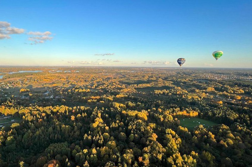 A landscape with two hot air balloons, a dense forest, and a distant cityscape. 4