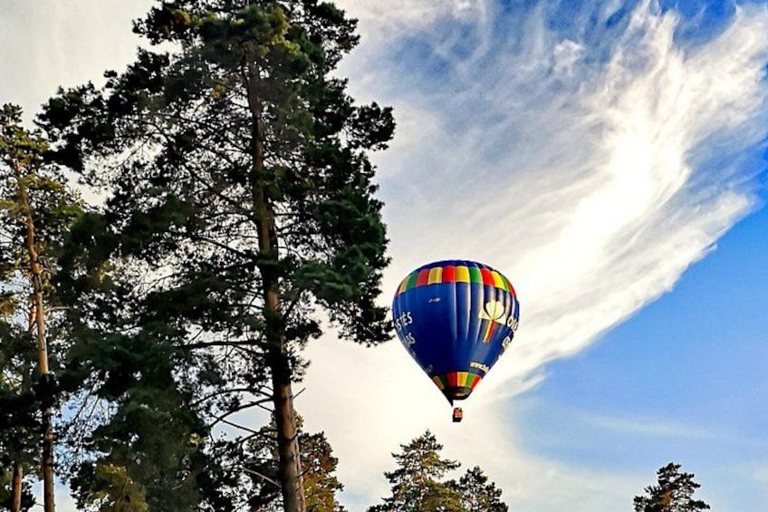 A hot air balloon flying above a forest with tall trees. 3