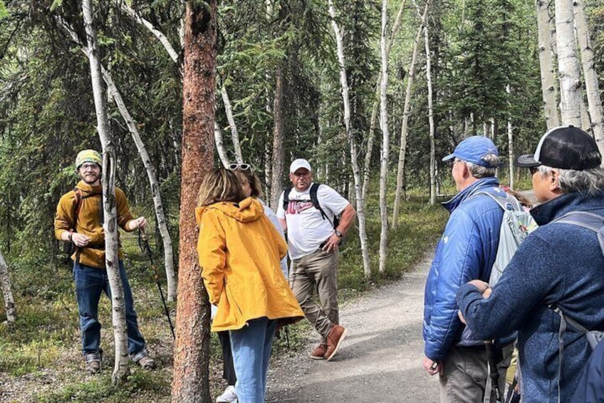 A group of hikers on a forest trail surrounded by trees. 4