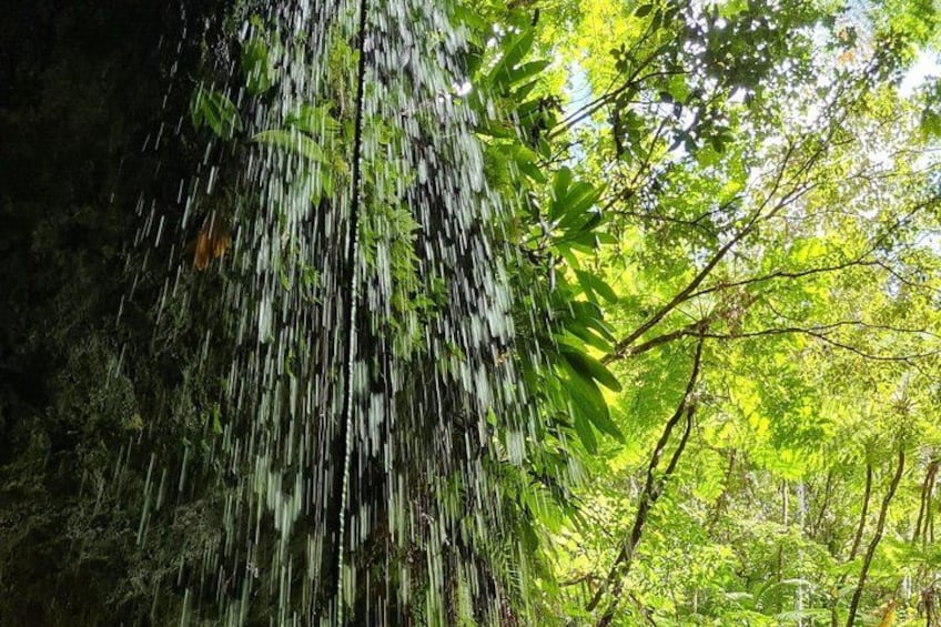 A waterfall cascading down a rocky cliff surrounded by lush green foliage. 2
