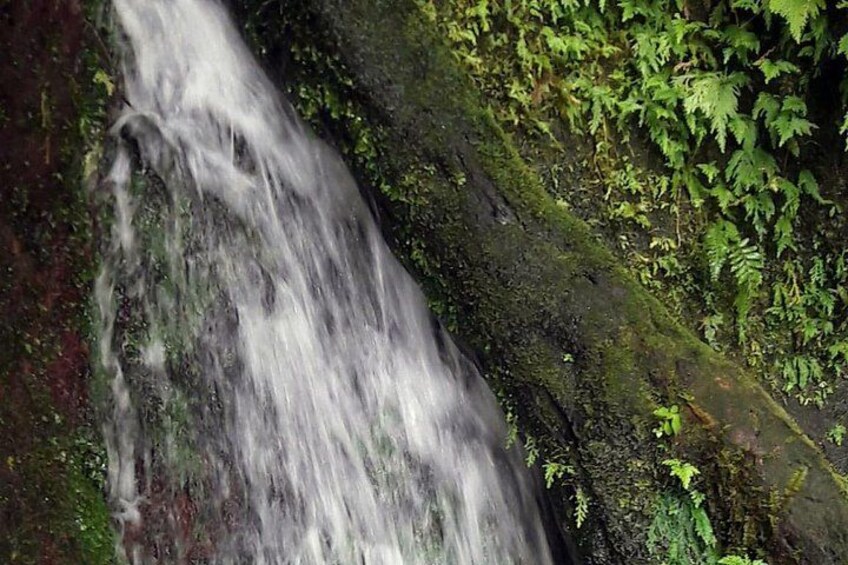 A waterfall cascading over a moss-covered rock. 4