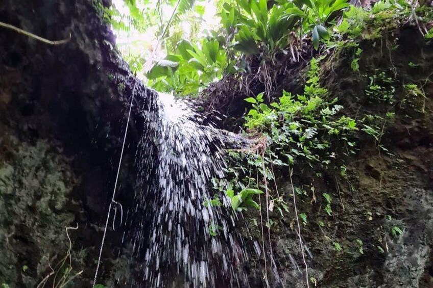 A waterfall cascading down a rocky cliff surrounded by lush greenery. 3