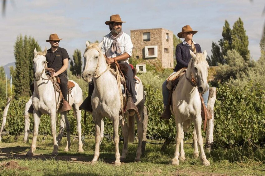 Half Day Horseback Riding in the Andes Mountains from Mendoza