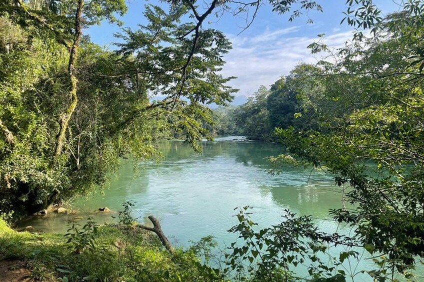 A river surrounded by dense greenery and trees. 4