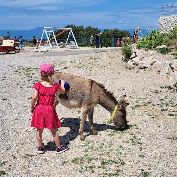 A child in a red dress feeding a donkey in a rocky outdoor area with a playground and a scenic view in the background. 1