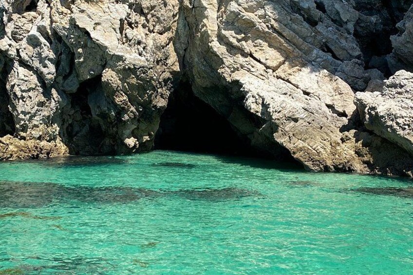 Observation of Dolphins in Sesimbra 4