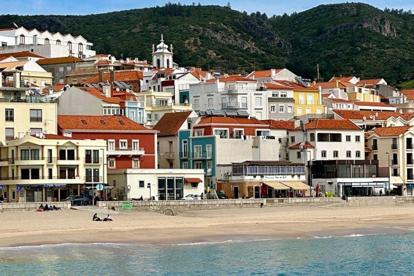 Observation of Dolphins in Sesimbra 2
