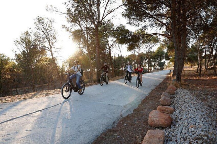 Granada: Alhambra and Sierra Nevada Sunset Views by E-Bike 4