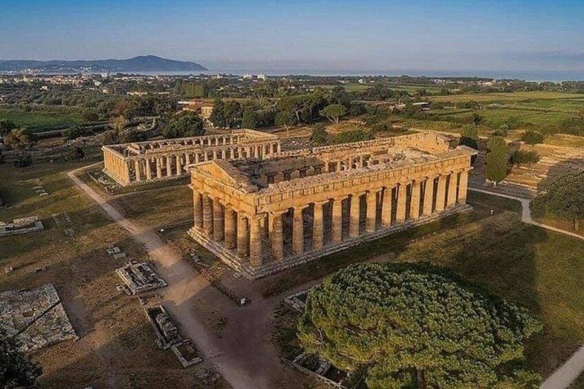 Un antico tempio greco con colonne, immerso in campi aperti e con una catena montuosa sullo sfondo. 5