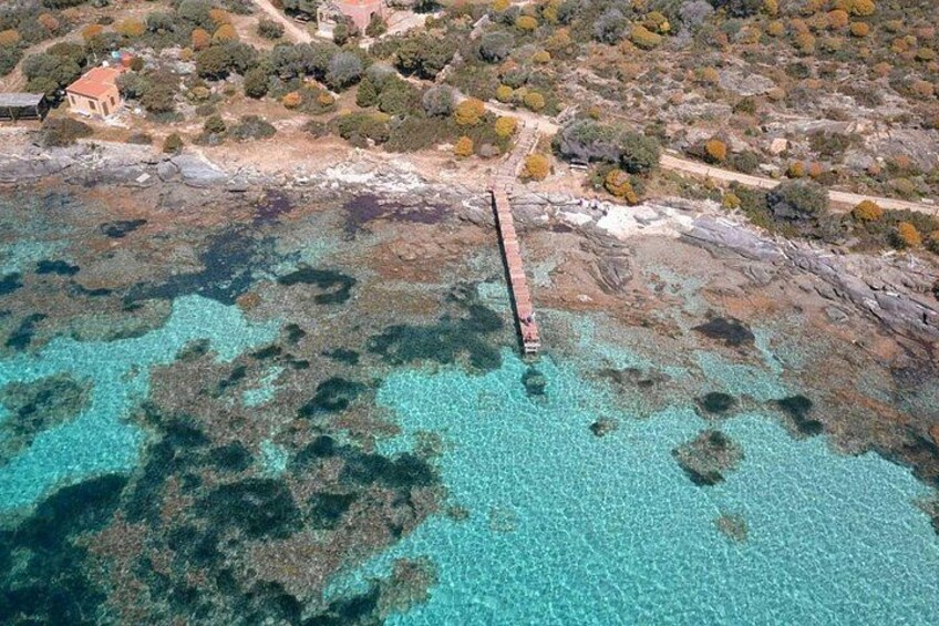 From Stintino: sailboat tour to Asinara with lunch 4