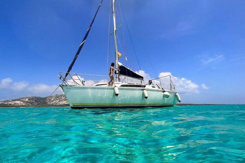 From Stintino: sailboat tour to Asinara with lunch 1